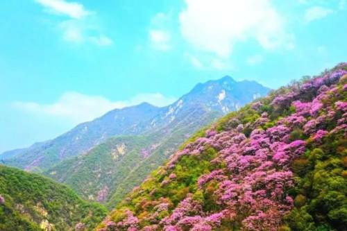 西安的夏天是什么颜色的,西安的春天有多美