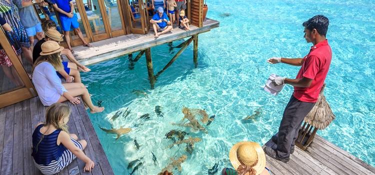 马尔代夫娇丽岛旅游攻略,康莱德港丽岛几星