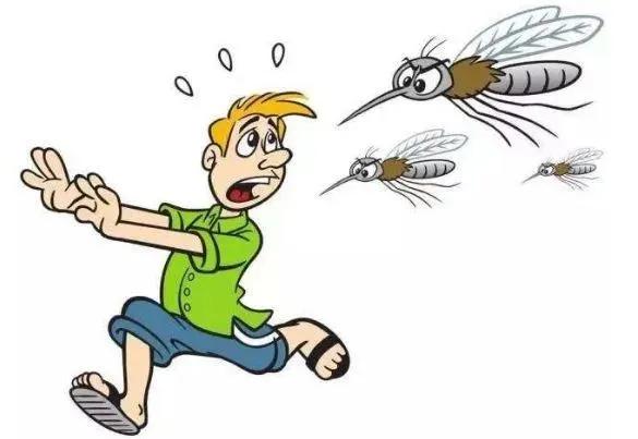 o型血蚊子从来不咬我是什么原因,蚊子真的爱咬o型血吗