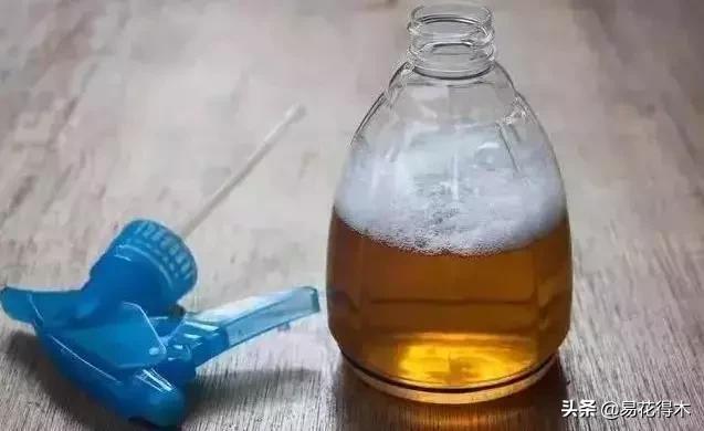 盆栽小黑飞虫怎么治,盆栽有小飞虫怎么处理