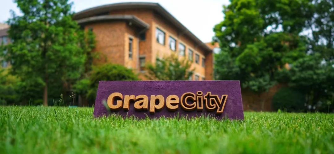 数据猿专访葡萄城总经理倪爱军：低代码，未来可期