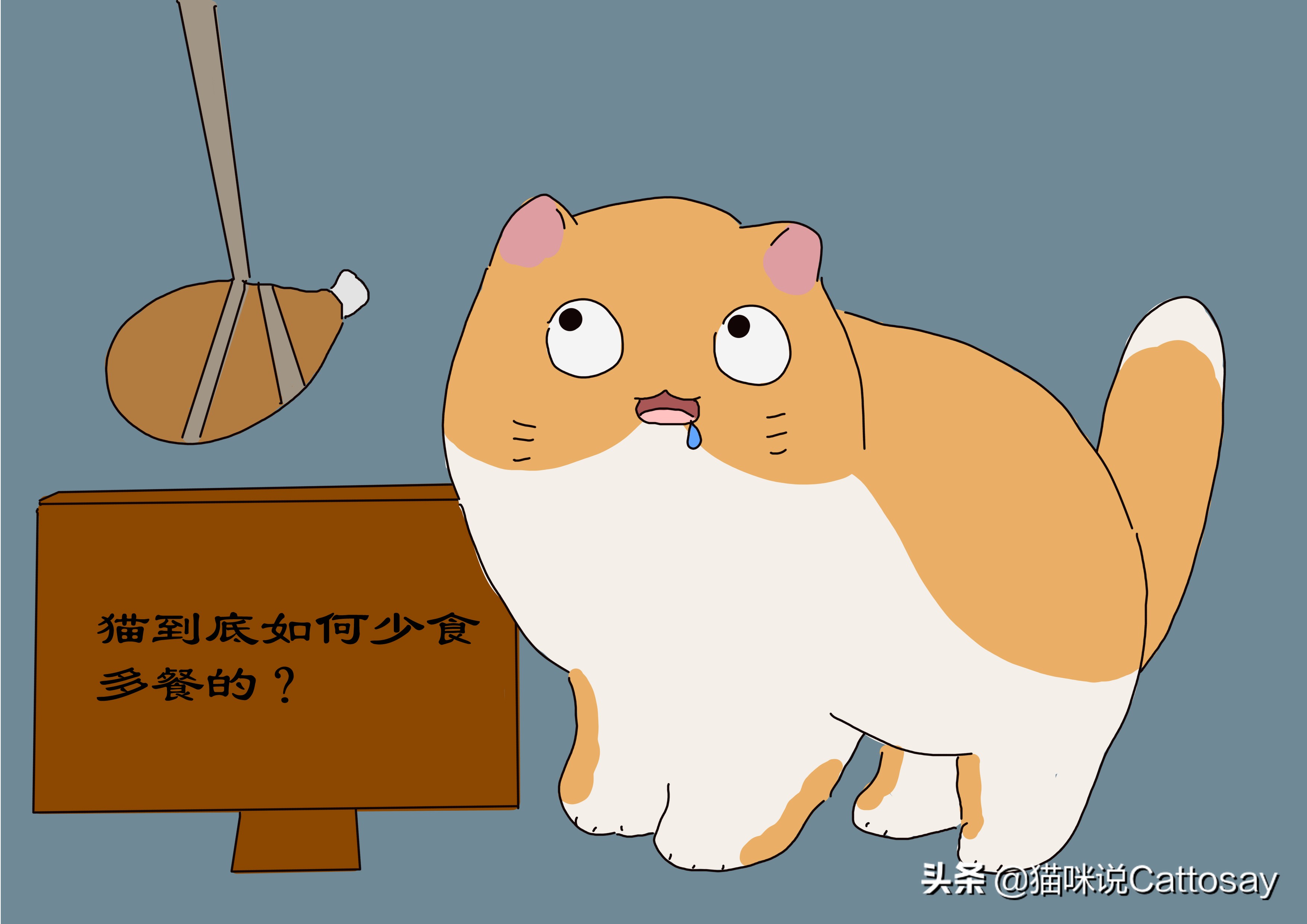 猫的捕食习性,猫总吃不胖是什么原因