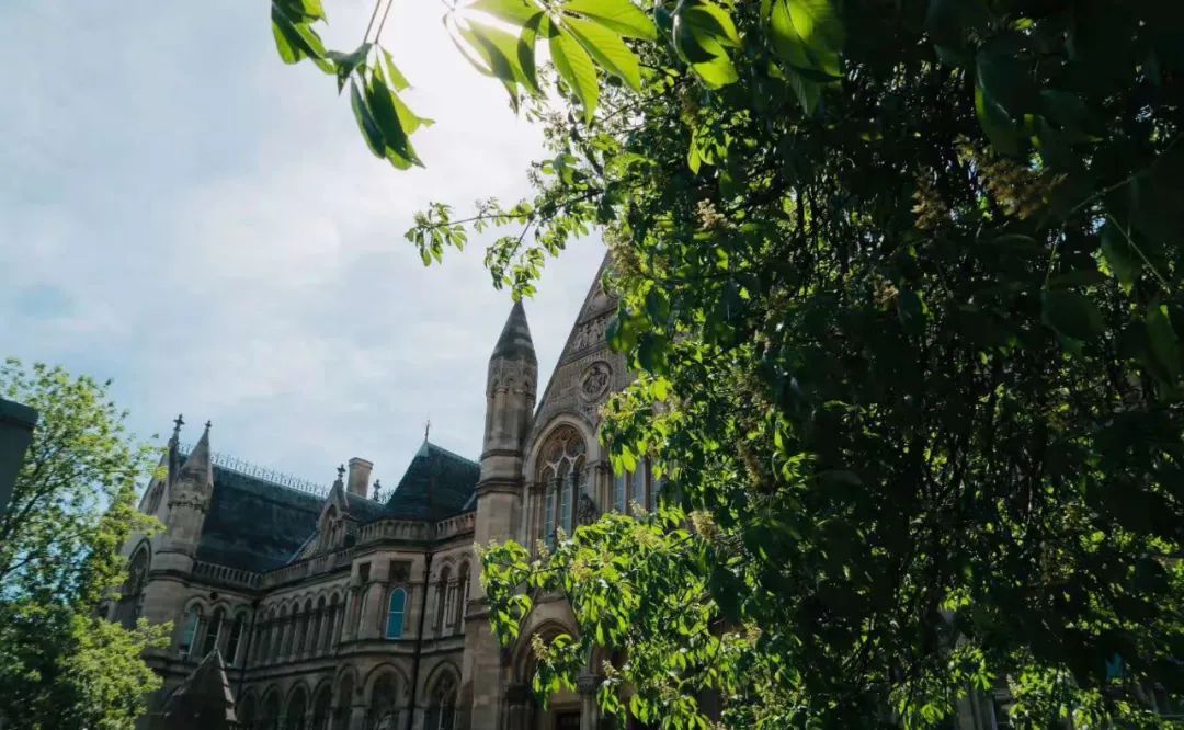 一般要在读证明和成绩单干嘛用,大学成绩单的在读证明怎么打印