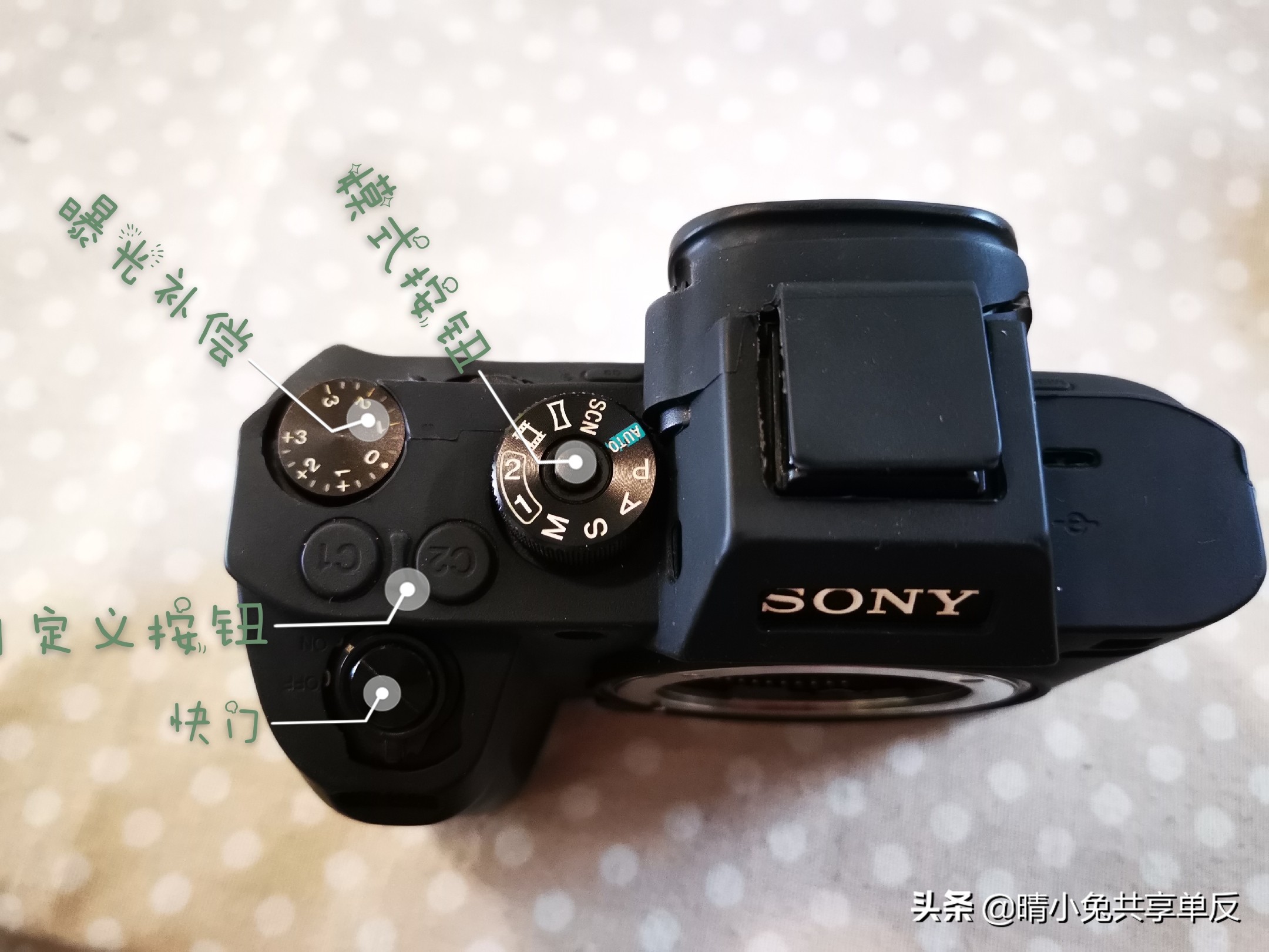 索尼a7r2配佳能70200的镜头,索尼a7r2搭配佳能单反镜头