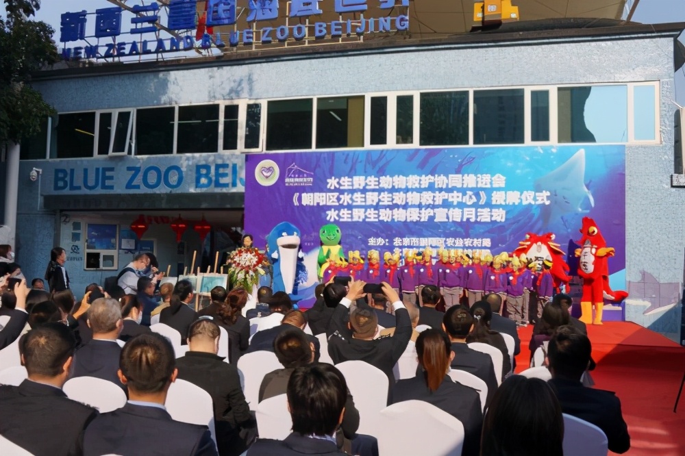 守护海洋的行动有哪些,守护海洋生物活动