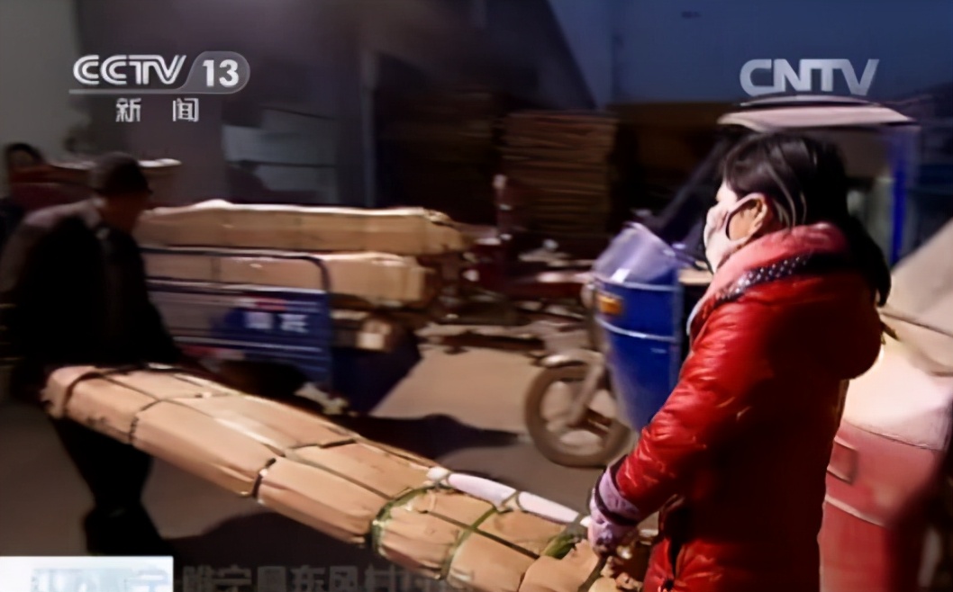 从贫困户到百万富翁的逆袭,百万农民逆袭史完整视频