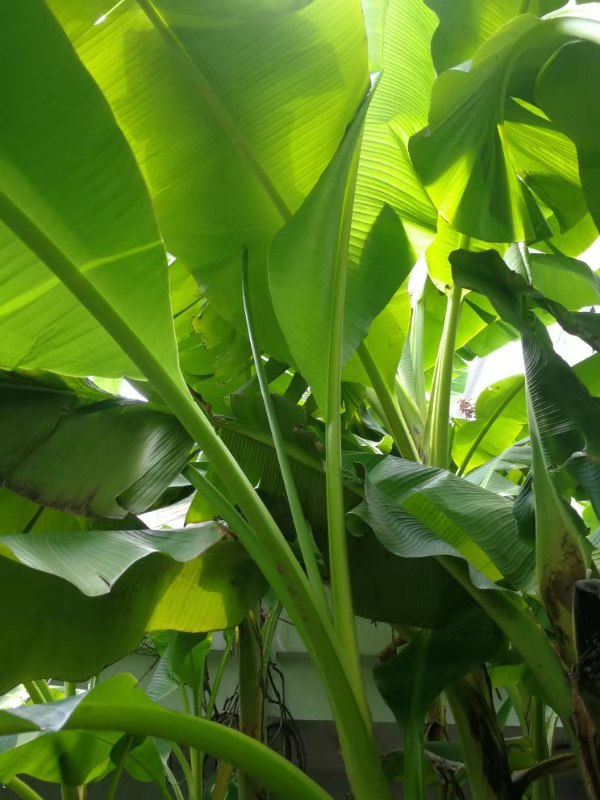 国外十大必读经典名著,值得读一辈子反复读的外国名著书