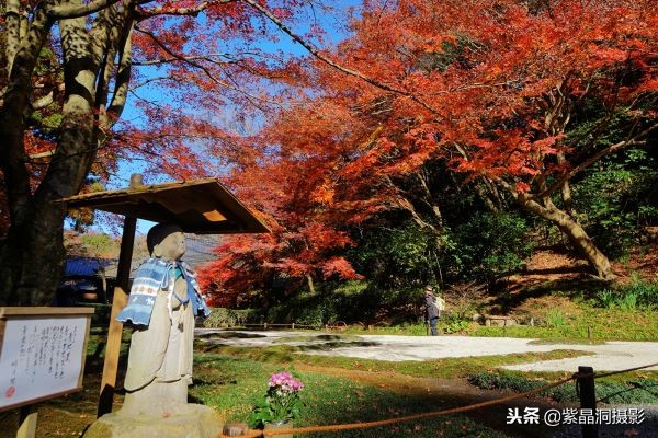 700年历史的日本小寺,为了看秋叶要买两次票,一次比一次贵