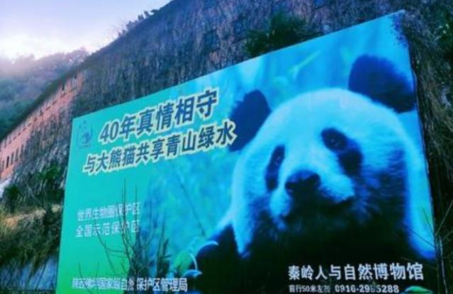 陕西最落后的县城,陕西没有人的城市