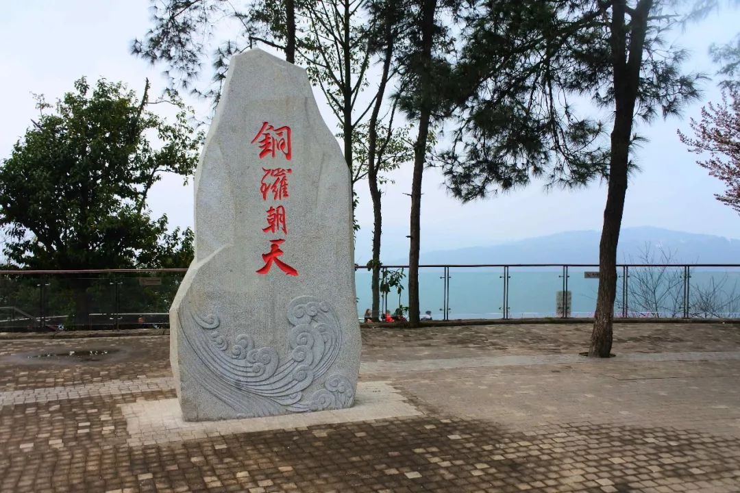 重庆铁山坪森林公园有什么好玩的,重庆赏花一日游最佳去处