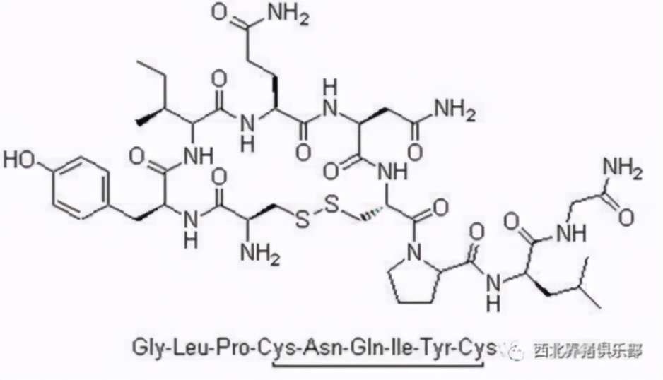 表面上大家都是打工人,有的同事却背地里学习《母猪的产后护理》