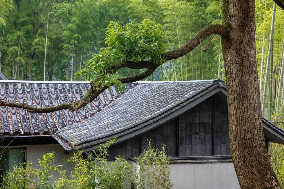 涓栦織涔嬮棿鏂瑰涔嬪,鏂瑰涔嬮棿灏樹笘涔嬪