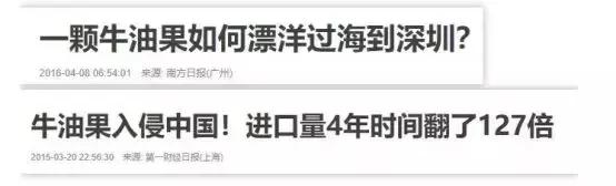 牛油果以前不爱吃的现在超级爱吃,牛油果不好吃为什么这么多人吃