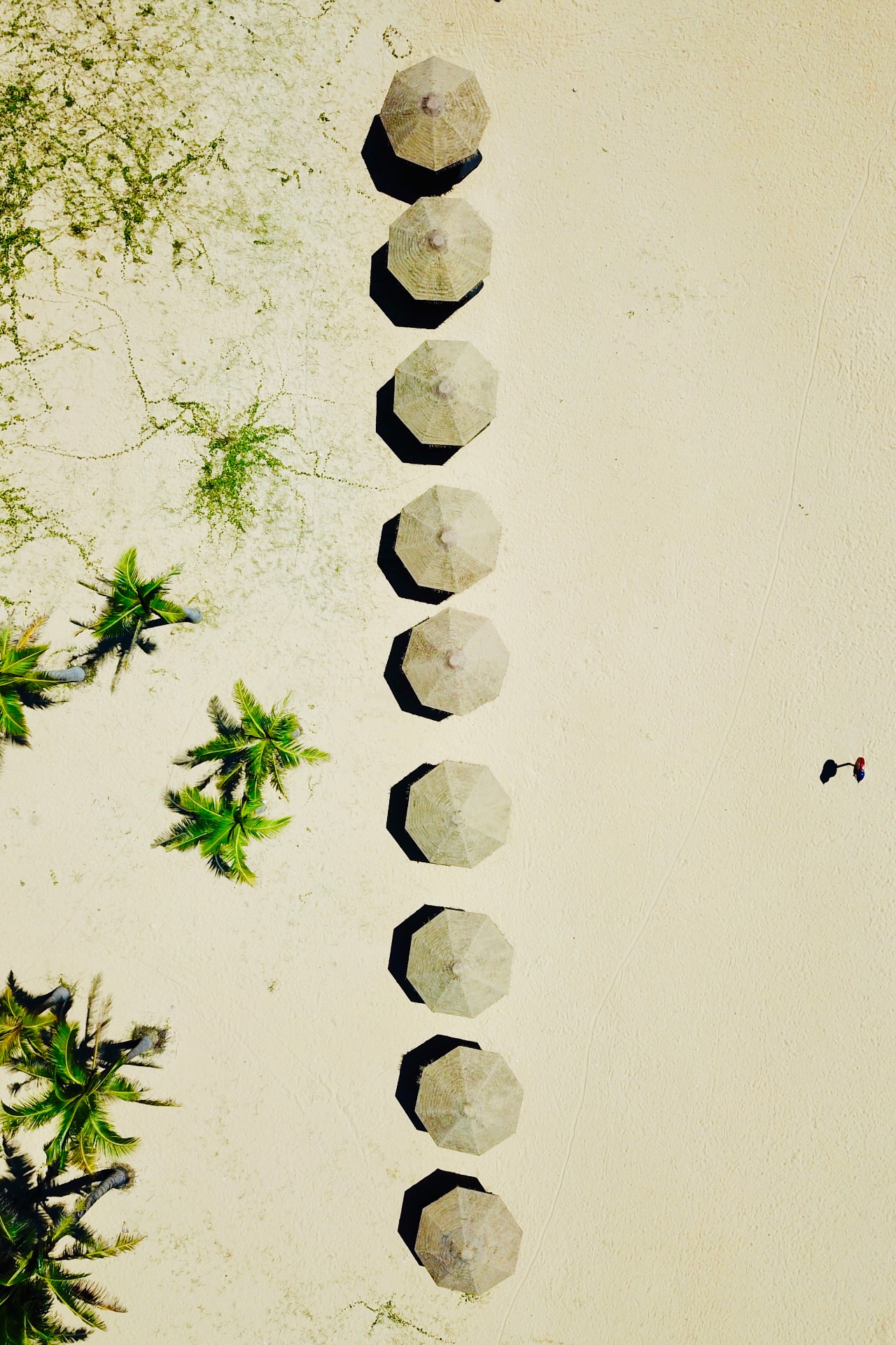 陵水香水湾阿尔卡迪亚酒店,海南香水湾都有什么酒店