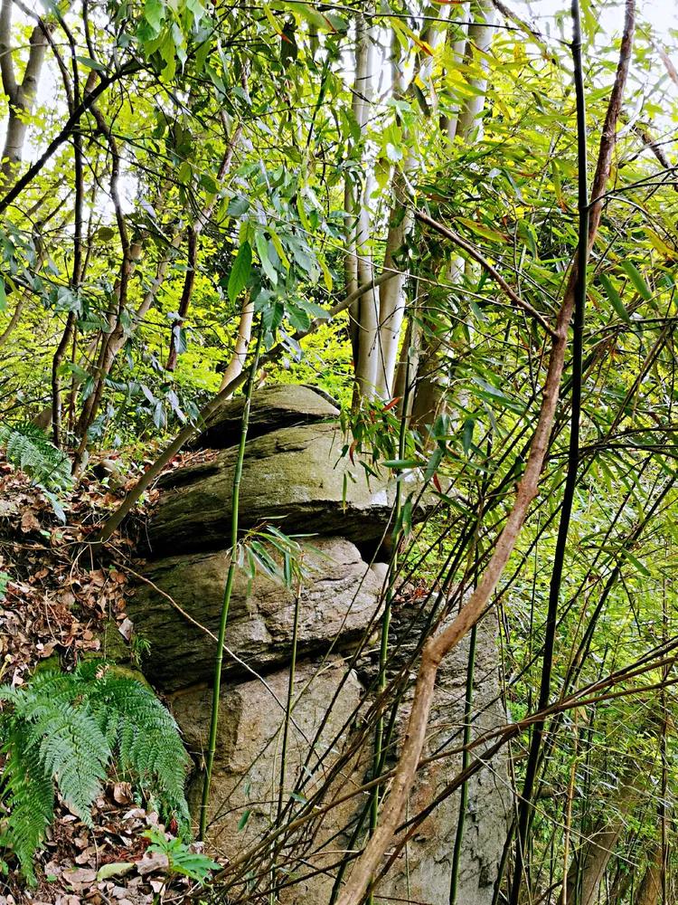华容山水苑别墅100万,华容秀丽山水风景区