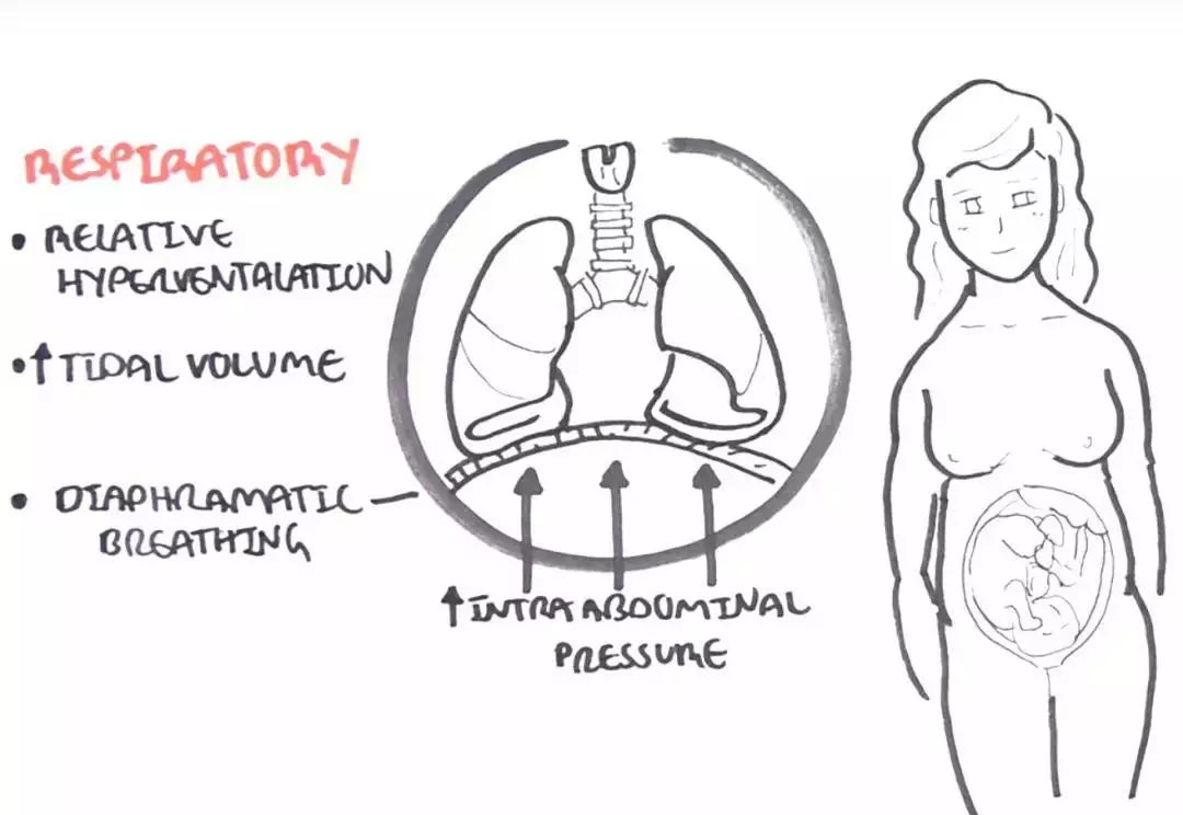 医学知识科普产后康复,开局不可言语最新章节在线阅读
