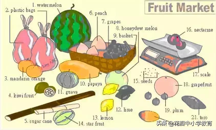 34张图教你记住英语中所有生活用词，一天记一张，一个月搞定