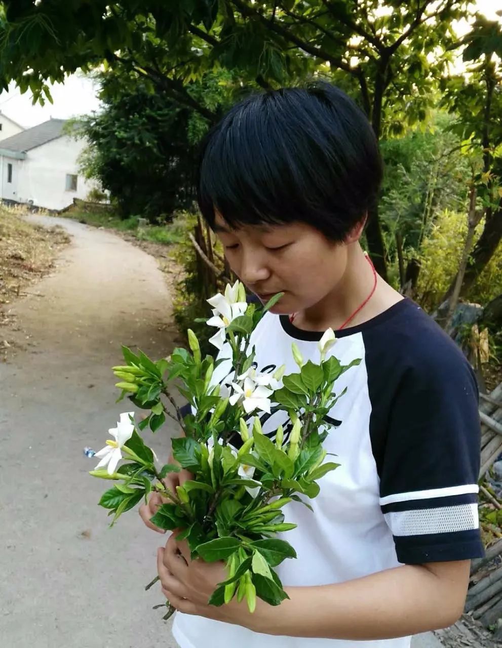 陈慧作家采访,陈慧作家作品