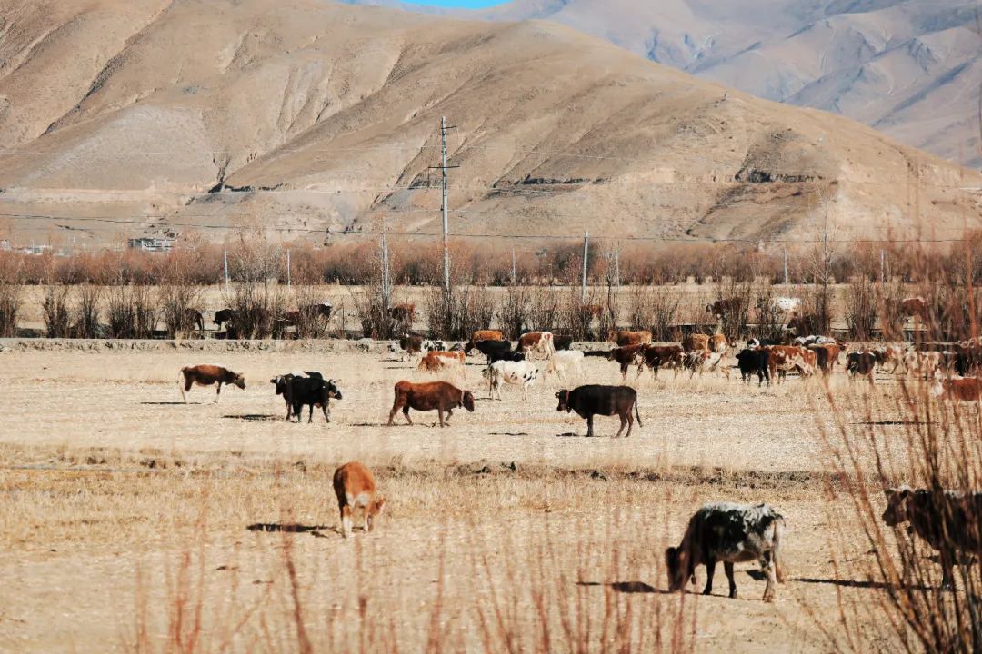 媲美新疆的地方,媲美西藏大北线的新疆自驾路线