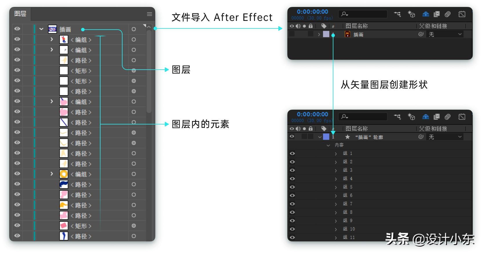 lottie使用教程,lotus使用说明书