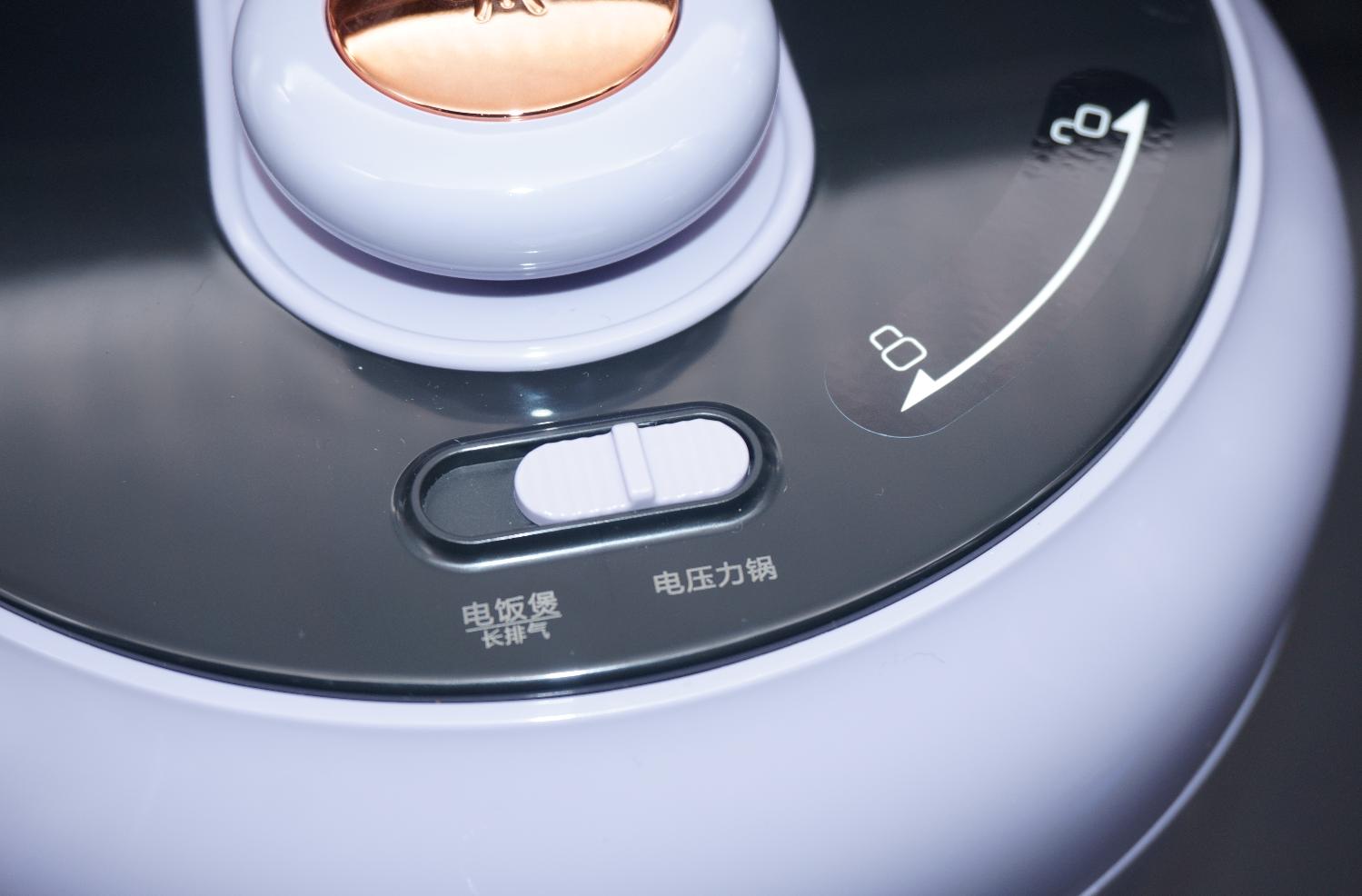 一锅两用双胆,一锅多用多功能的压力煲