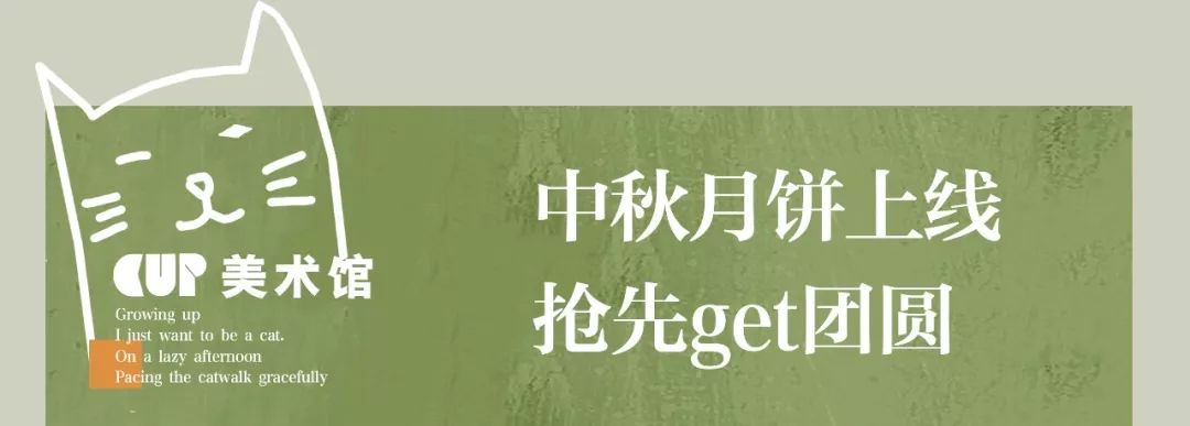 奈雪猫猫杯,奈雪猫杯