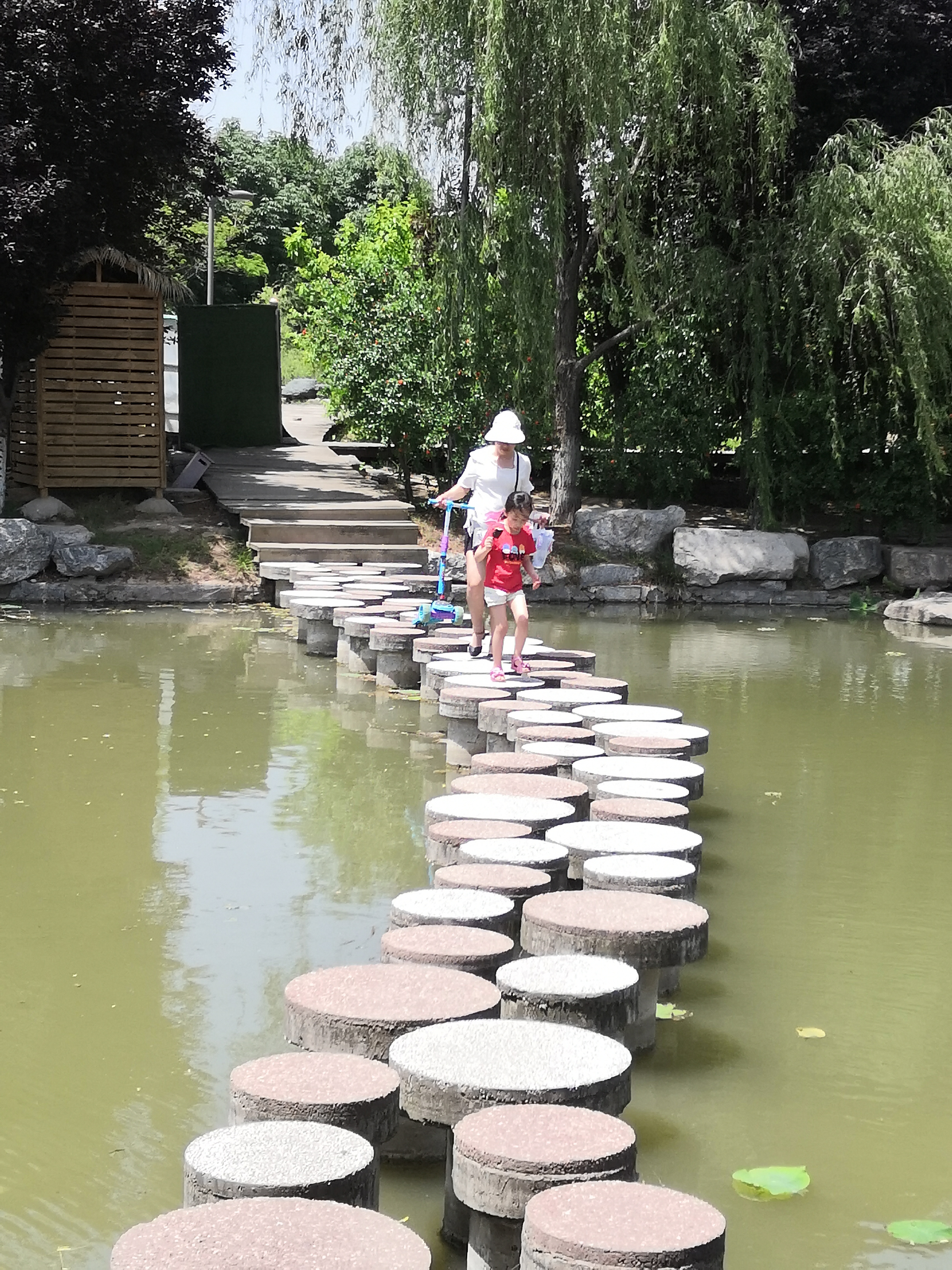 老侯看天下,西安浐灞国家湿地公园近期航拍