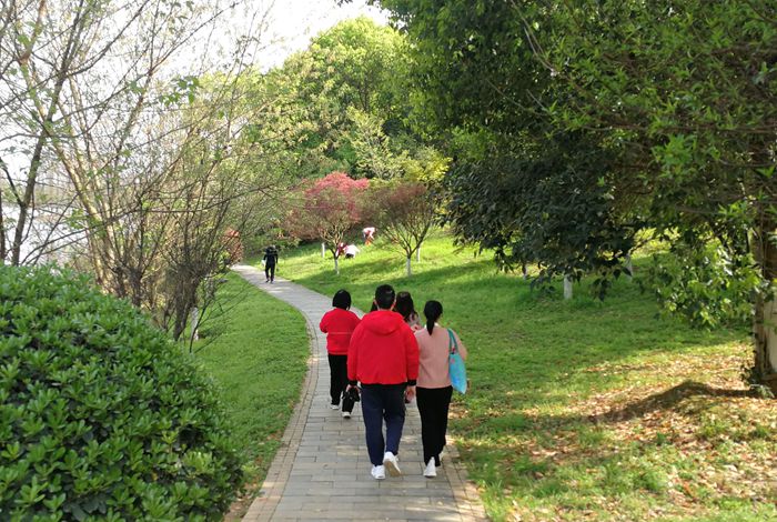 美丽的南湖公园夜景,南湖风景区真的太美了
