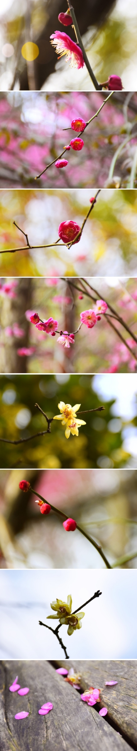 长城上能建学校吗,学校建得像长城