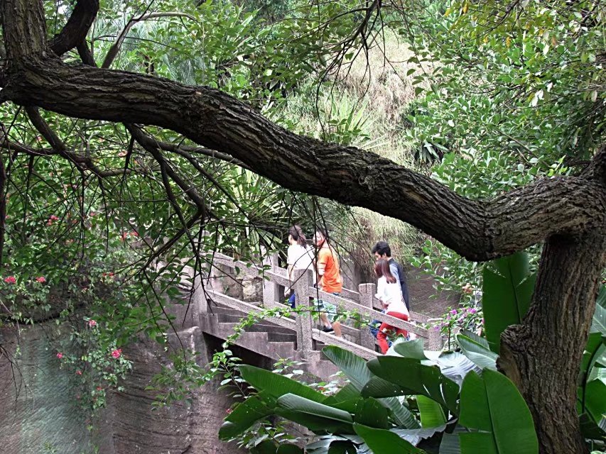 广州莲花山游记,广州莲花山风景