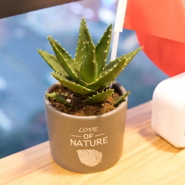 高空自习室深圳,深圳高空自习室