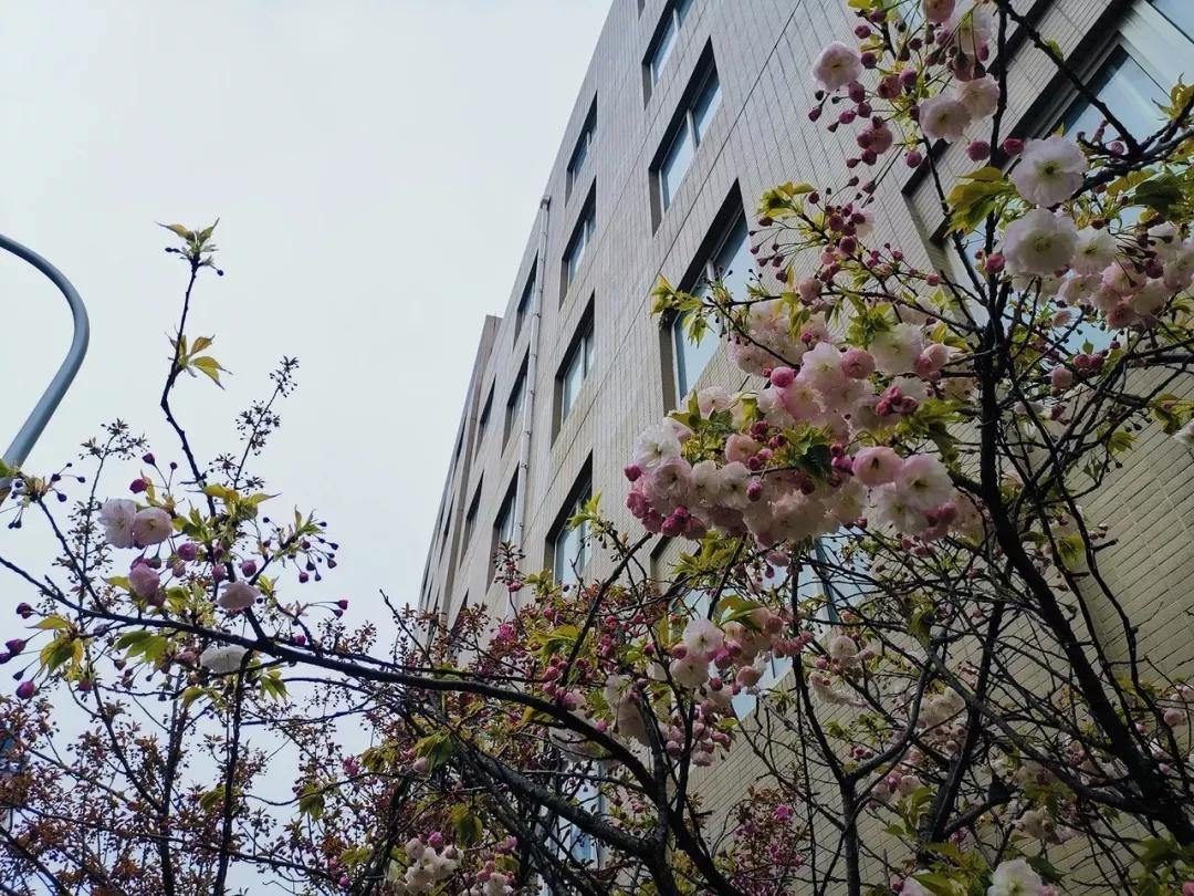 辽宁大连民办大学,大连辽宁二本大学