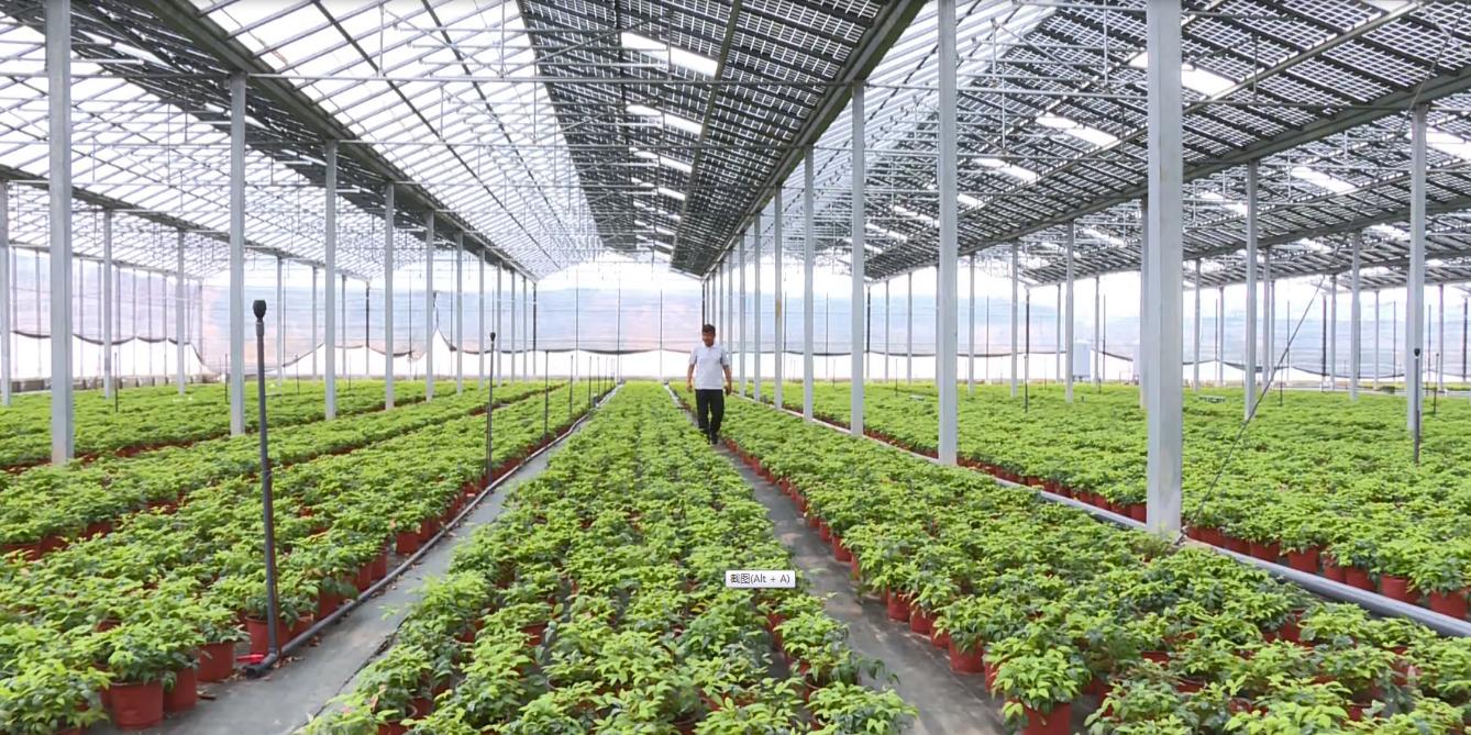 山东省威海蔄山镇,威海蔄山智能制造产业园