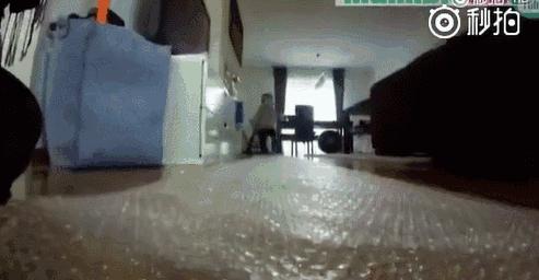 九个月亲子互动小游戏锻炼大脑,不出门在家玩的亲子小游戏