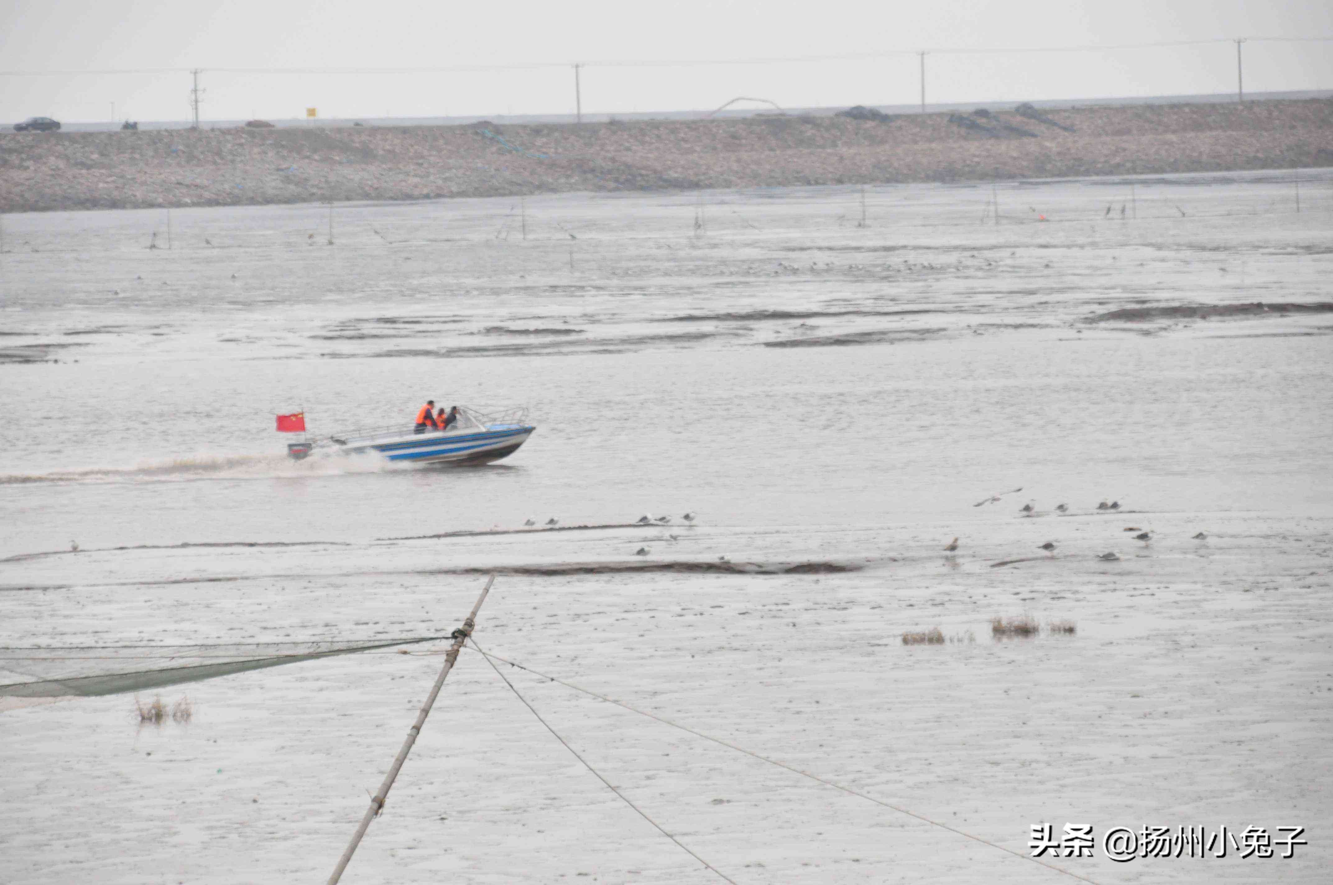 海鲜是鲜，神仙是仙，去吕泗寻鲜还是寻仙？