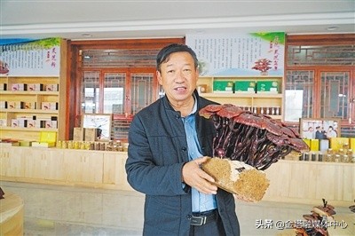 吴忠利通区新华桥村：小小灵芝“菇”舞人心