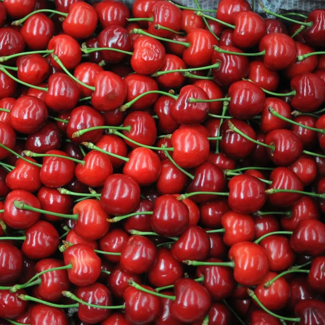 烟台自带仙气的城市,烟台福山名媛