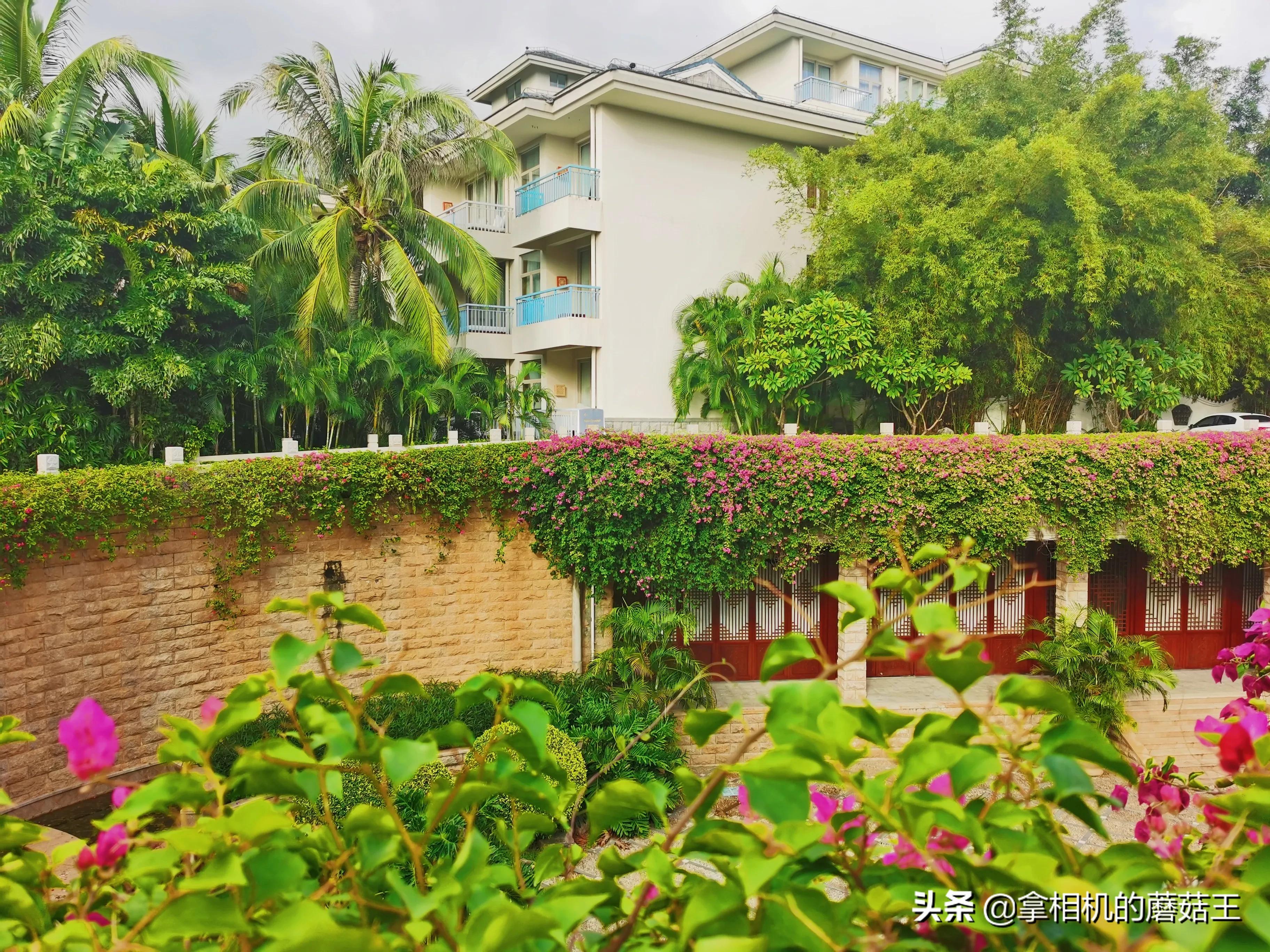 亚龙湾四星酒店价格表,亚龙湾套餐哪个合适