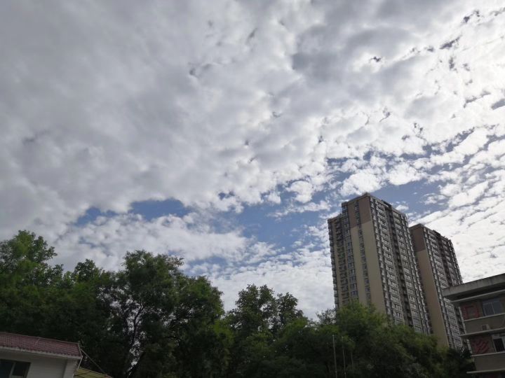 26岁的空洞肺结核能治好吗,25岁得肺结核怎么治