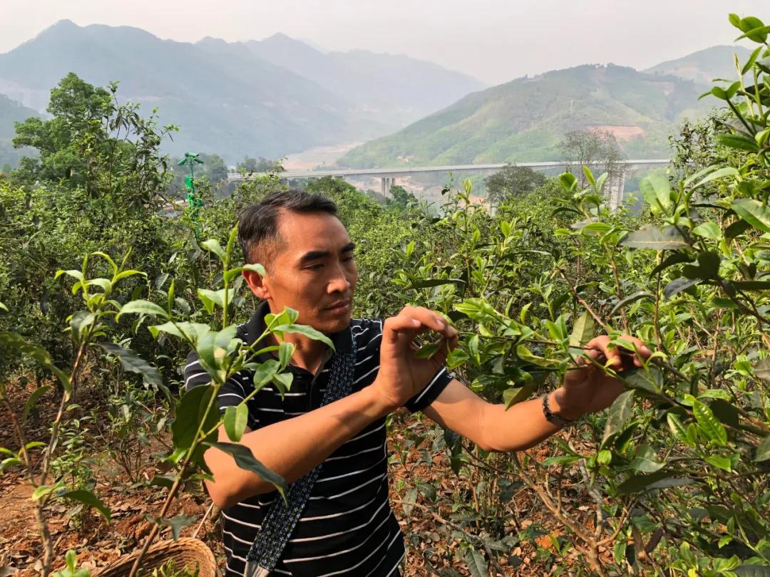 昔逐红尘千里归,昔逐红尘千里归出自哪里