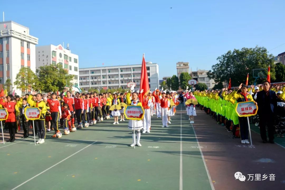 阳春市兴华小学校运会,逸夫小学县运会