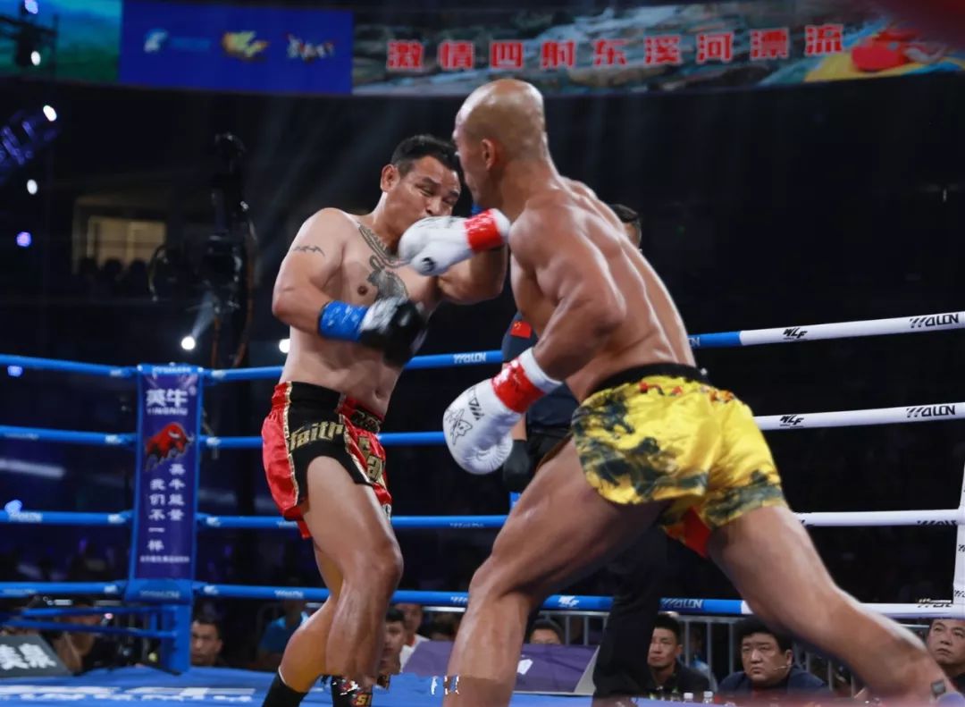 泰拳世界冠军狼王,泰拳狼王打架完整版