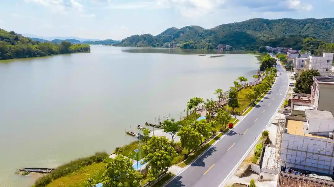 四会为什么发展这么好,四会市现状