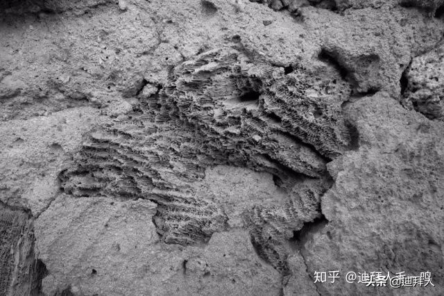 灵异阿联酋之初级篇|“*村鬼**”AlJazirahAlHamra