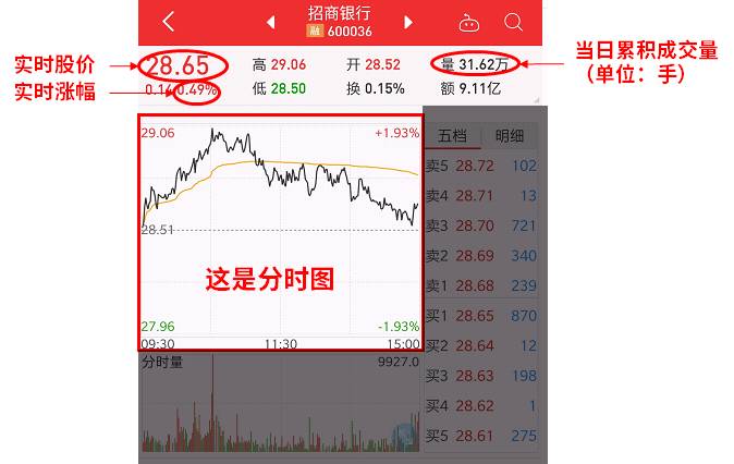 新手怎么看股票行情,新手怎样看股票各种线