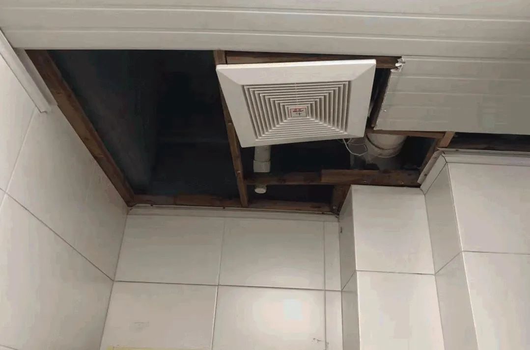 换灯泡发现毒品,换灯泡事件