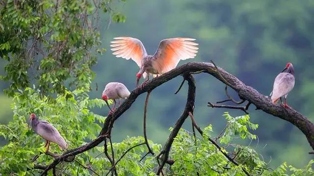 日本有趣小常识,日本人必知的100个小知识