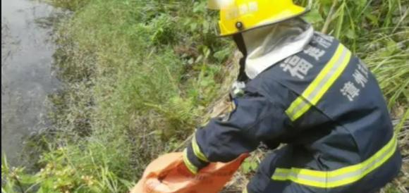 大蟒蛇正面突袭结果吓得一身冷汗,遭遇大蟒蛇如何脱险