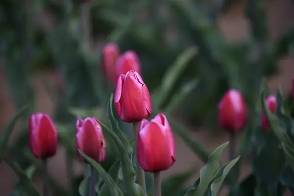 北京房山团建踏青地点推荐,北京房山春季旅游最佳去处