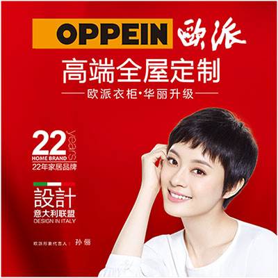 孙俪知名度,孙俪商业奇才